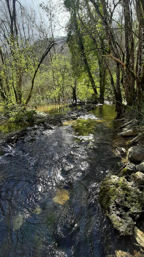 Petite Maison De Village Situee Entre Lacs, Cascades Et Montagnes Virieu-le-Grand Dış mekan fotoğraf